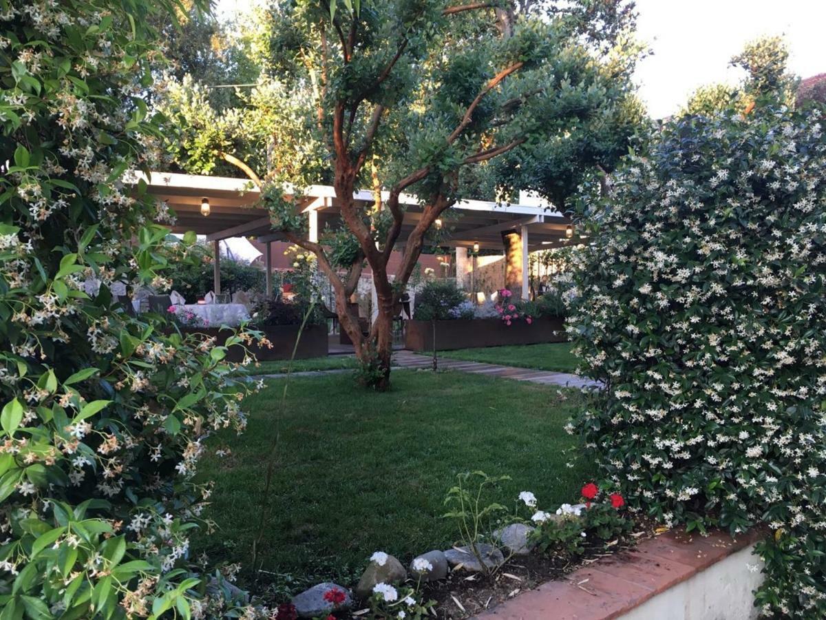 Locanda Del Pesce Briaco, B&B Lucques Extérieur photo